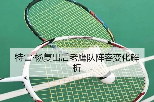 特雷·杨复出后老鹰队阵容变化解析